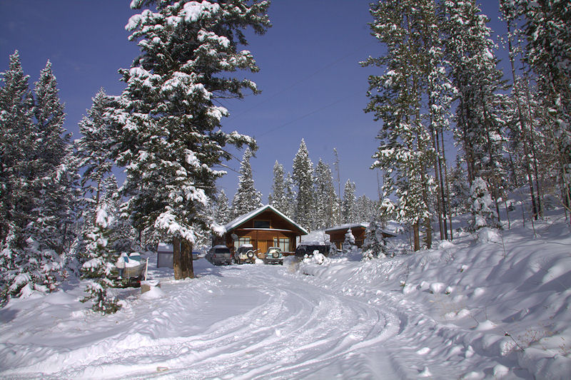 Our cabin in the woods