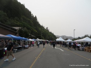 salmon festival booths 